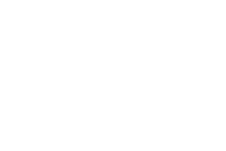 Pire rayen
